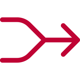 Optimized Digital Systems